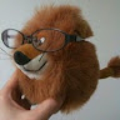 profile-image