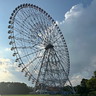 user-img