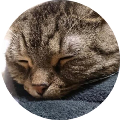 profile-image