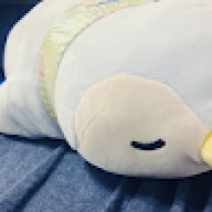 profile-image