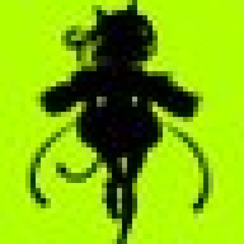 profile-image