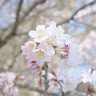user-img