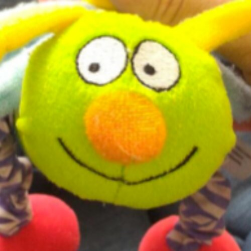 profile-image