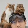user-img