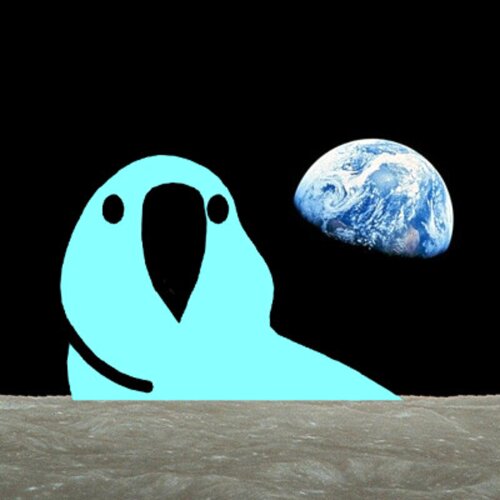 profile-image