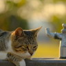 user-img