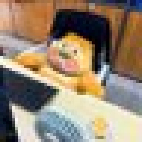 profile-image