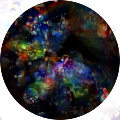profile-image