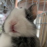 user-img