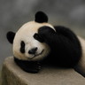 user-img