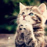 user-img