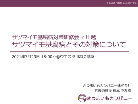 slide-thumbnail